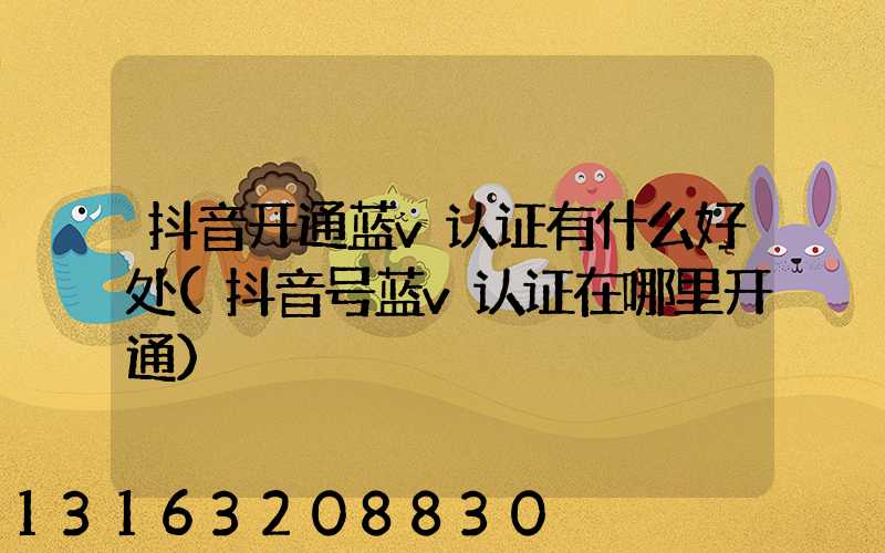 抖音开通蓝v认证有什么好处(抖音号蓝v认证在哪里开通)