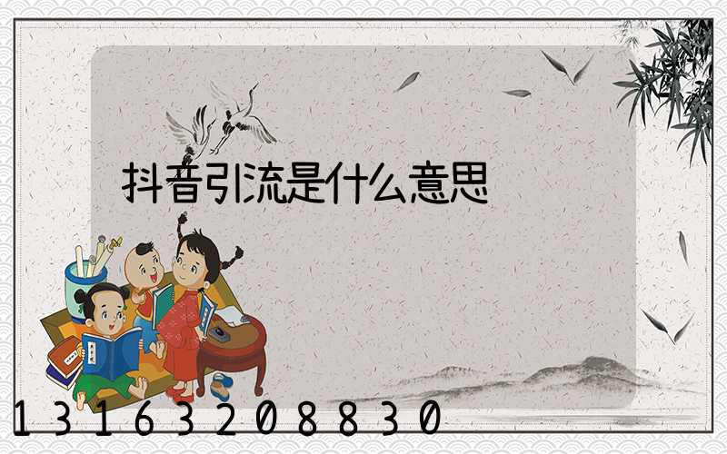 抖音引流是什么意思