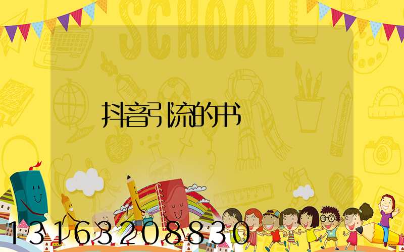 抖音引流的书