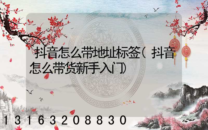 抖音怎么带地址标签(抖音怎么带货新手入门)