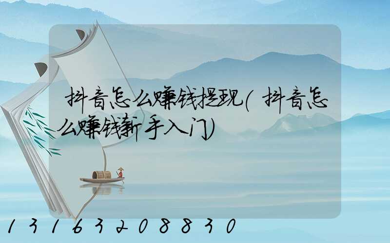 抖音怎么赚钱提现(抖音怎么赚钱新手入门)