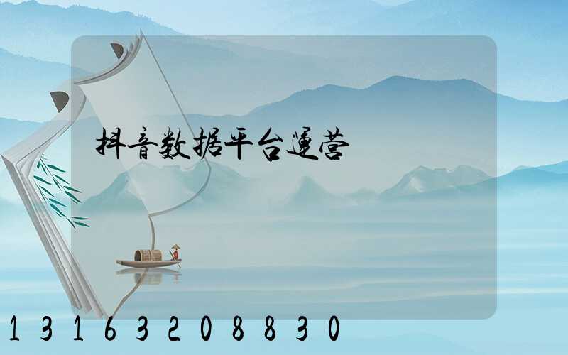 抖音数据平台运营