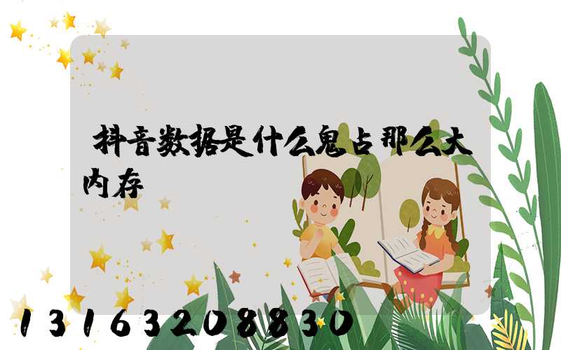 抖音数据是什么鬼占那么大内存