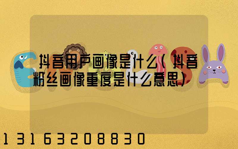 抖音用户画像是什么(抖音粉丝画像重度是什么意思)