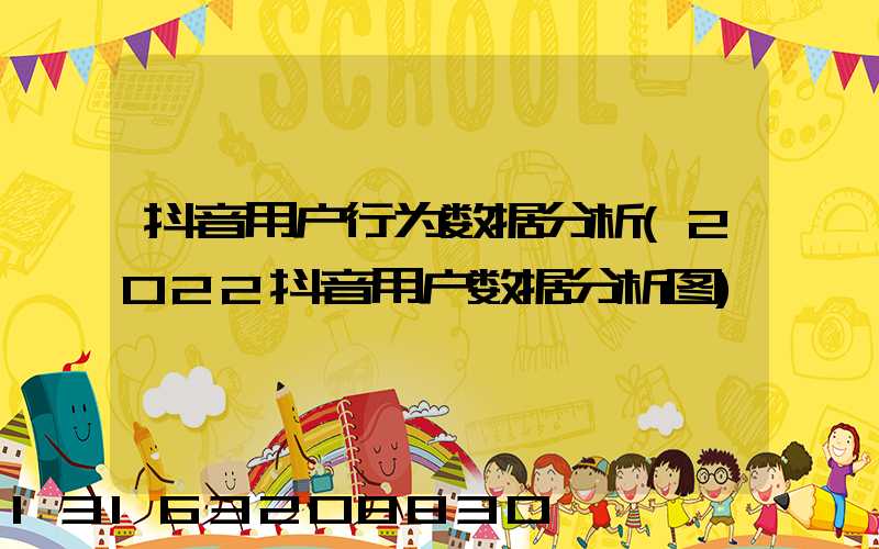 抖音用户行为数据分析(2022抖音用户数据分析图)