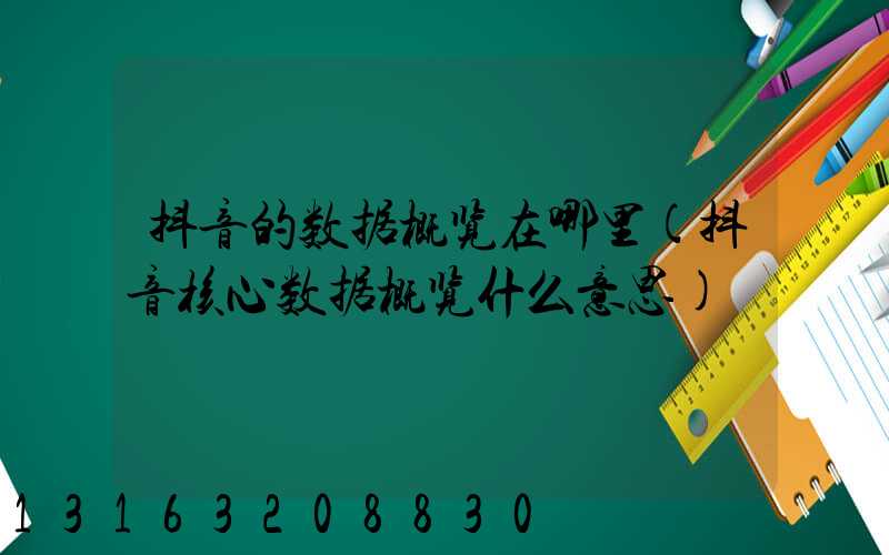 抖音的数据概览在哪里(抖音核心数据概览什么意思)
