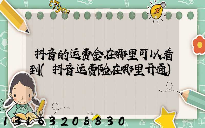 抖音的运费金在哪里可以看到(抖音运费险在哪里开通)