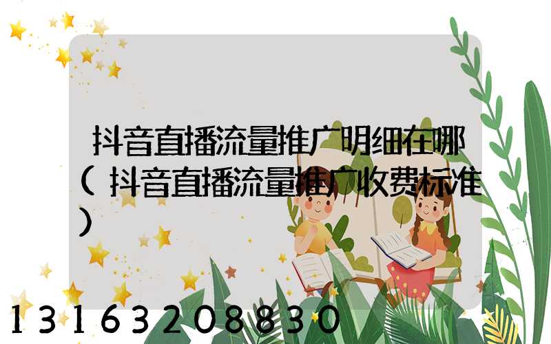 抖音直播流量推广明细在哪(抖音直播流量推广收费标准)