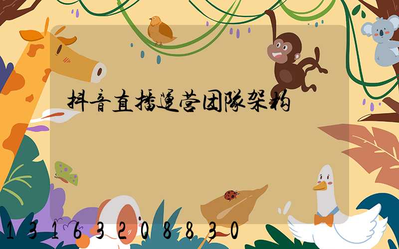 抖音直播运营团队架构
