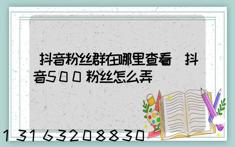 抖音粉丝群在哪里查看(抖音500粉丝怎么弄)