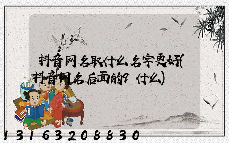 抖音网名取什么名字更好(抖音网名后面的9什么)