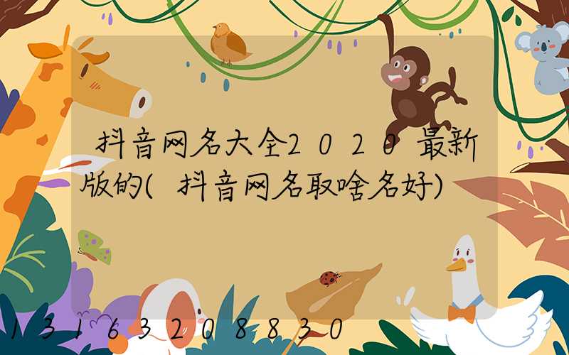 抖音网名大全2020最新版的(抖音网名取啥名好)