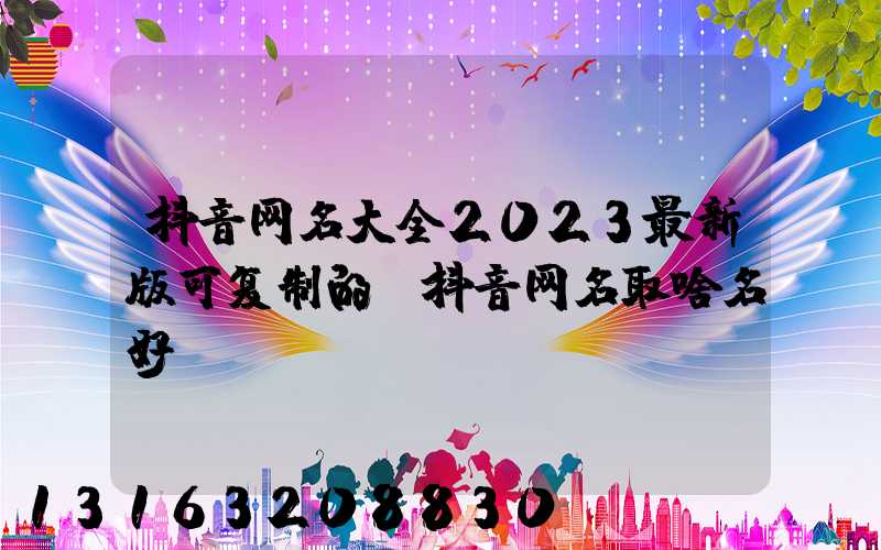 抖音网名大全2023最新版可复制的(抖音网名取啥名好)