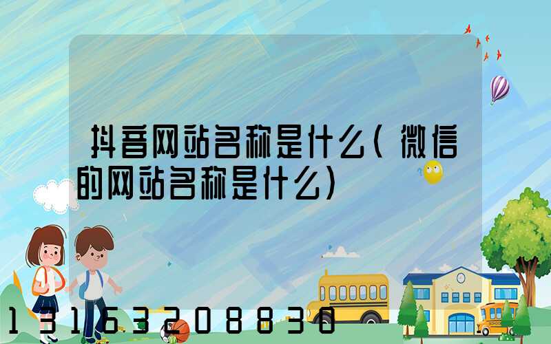 抖音网站名称是什么(微信的网站名称是什么)