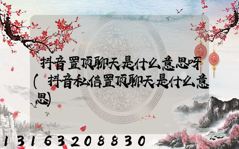 抖音置顶聊天是什么意思呀(抖音私信置顶聊天是什么意思)