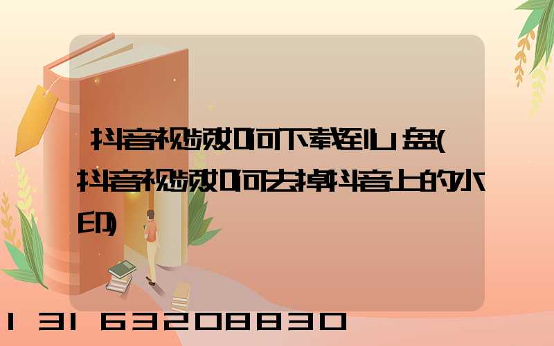 抖音视频如何下载到U盘(抖音视频如何去掉抖音上的水印)