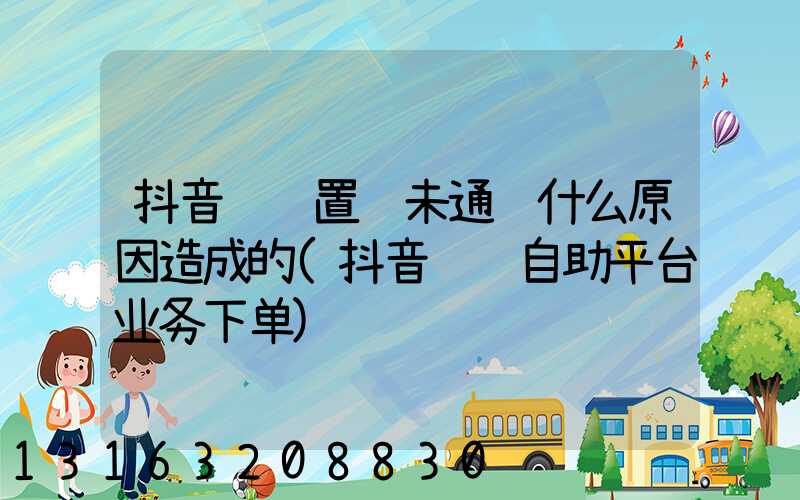 抖音评论置顶未通过什么原因造成的(抖音评论自助平台业务下单)