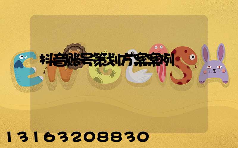 抖音账号策划方案案例