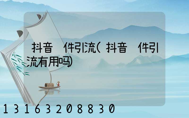 抖音软件引流(抖音软件引流有用吗)