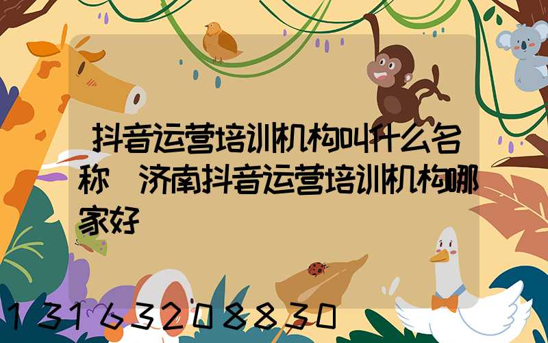 抖音运营培训机构叫什么名称(济南抖音运营培训机构哪家好)