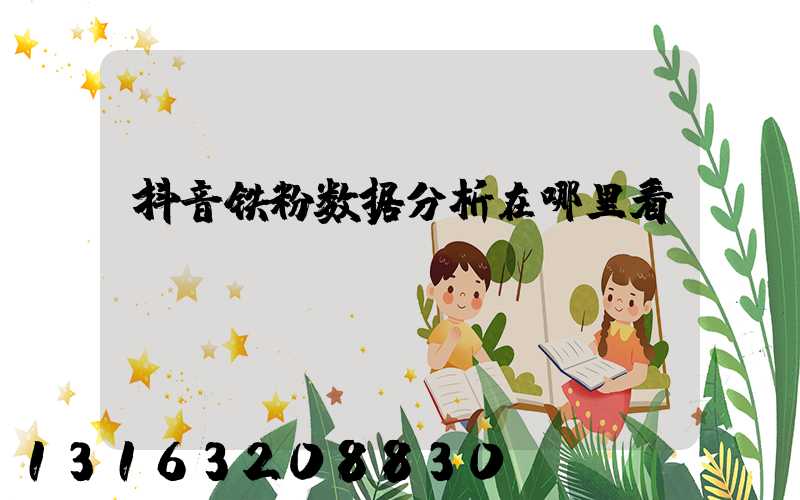 抖音铁粉数据分析在哪里看