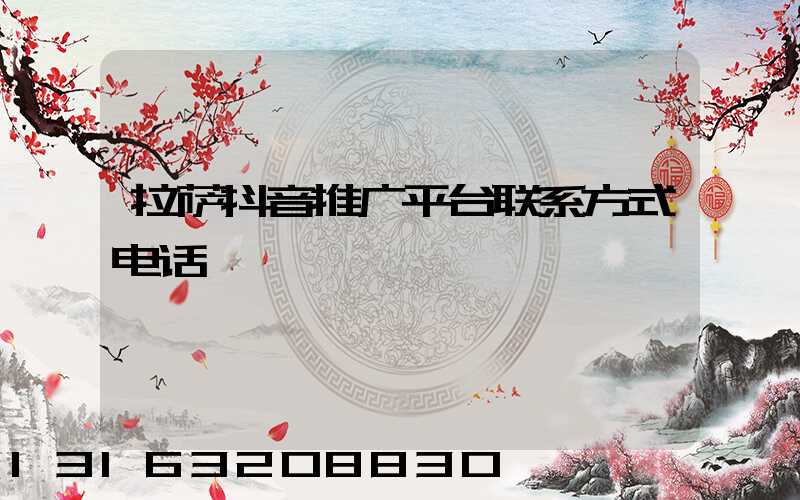 拉萨抖音推广平台联系方式电话