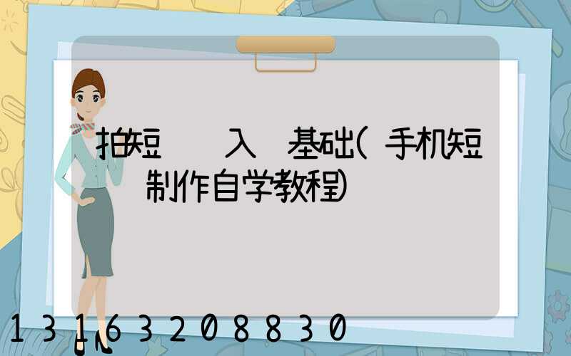 拍短视频入门基础(手机短视频制作自学教程)