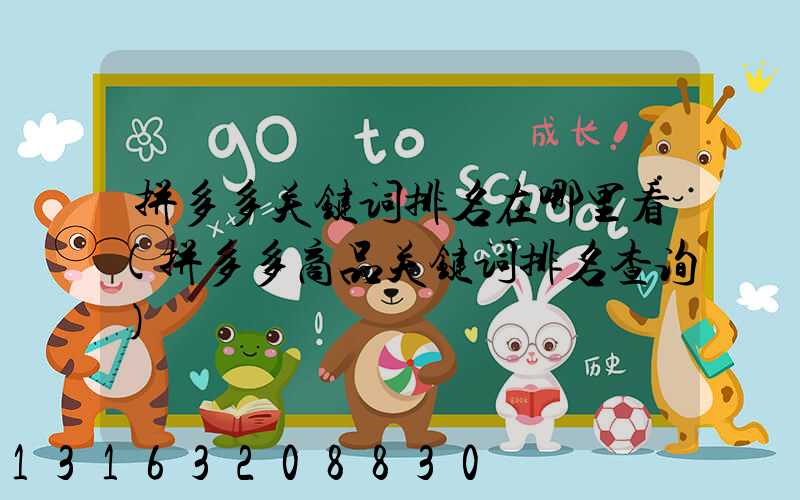 拼多多关键词排名在哪里看(拼多多商品关键词排名查询)
