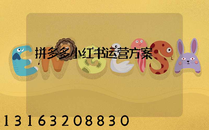 拼多多小红书运营方案