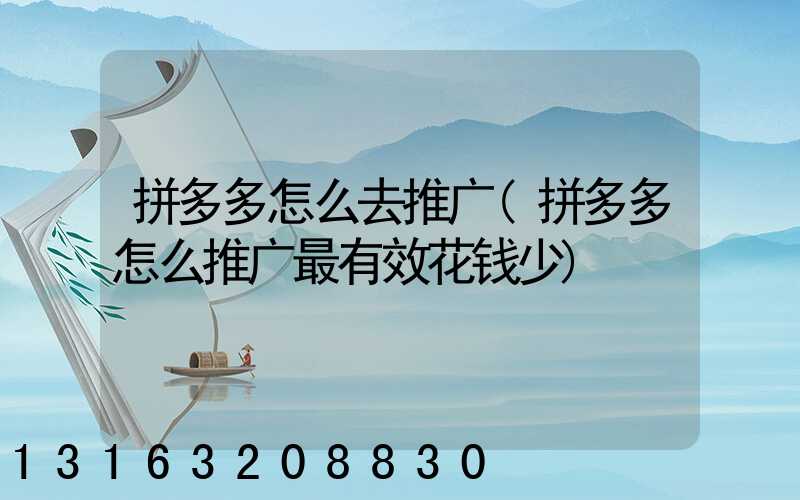 拼多多怎么去推广(拼多多怎么推广最有效花钱少)