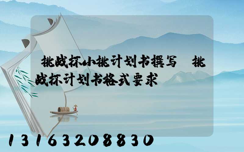 挑战杯小挑计划书撰写(挑战杯计划书格式要求)