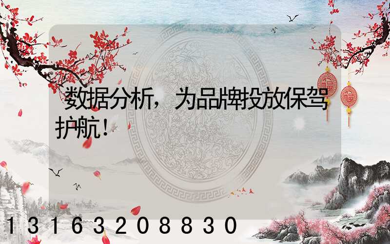 数据分析，为品牌投放保驾护航！