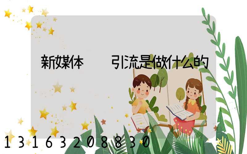新媒体运营引流是做什么的