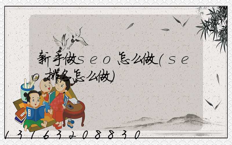 新手做seo怎么做(seo排名怎么做)