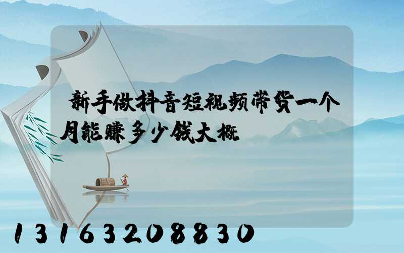 新手做抖音短视频带货一个月能赚多少钱大概