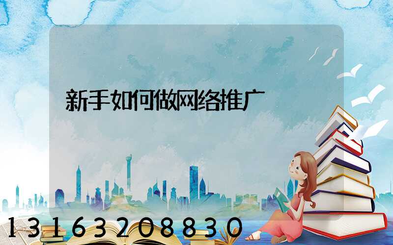新手如何做网络推广