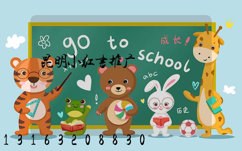 昆明小红书推广