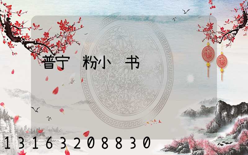 普宁肠粉小红书