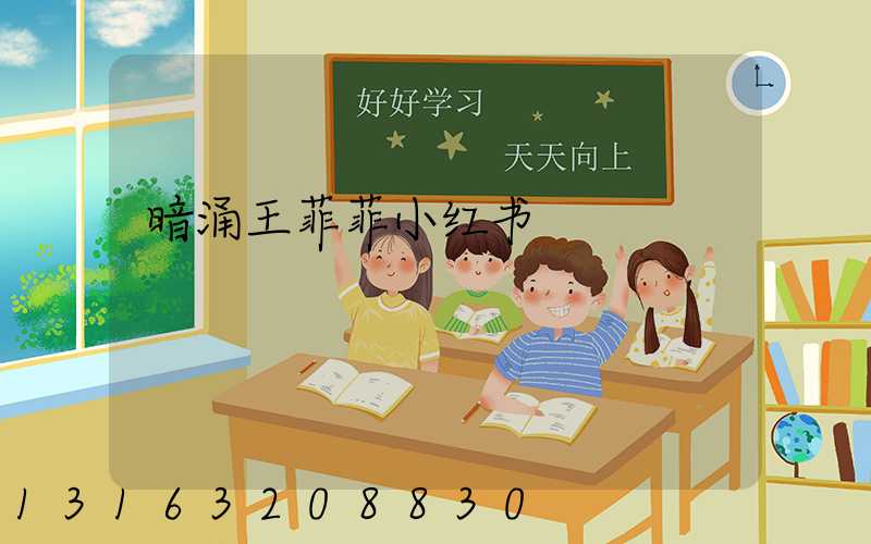 暗涌王菲菲小红书