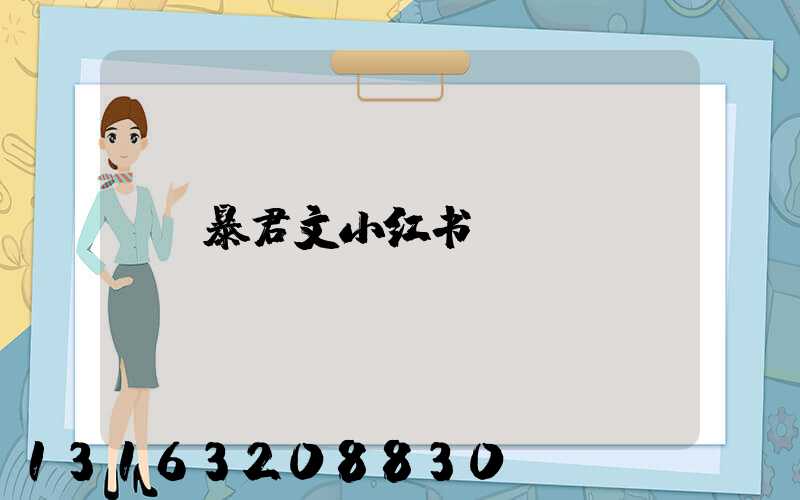 暴君文小红书