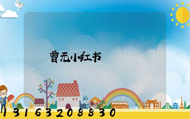 曾无小红书