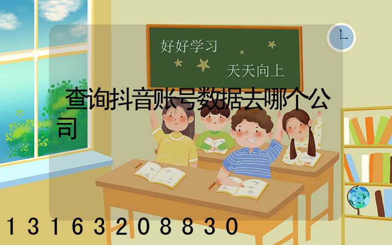 查询抖音账号数据去哪个公司