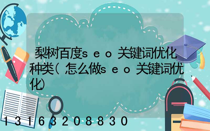 梨树百度seo关键词优化种类(怎么做seo关键词优化)