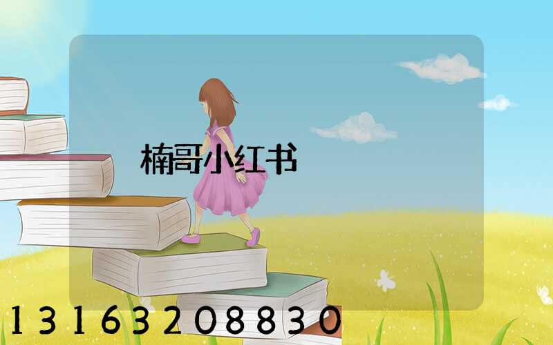 楠哥小红书