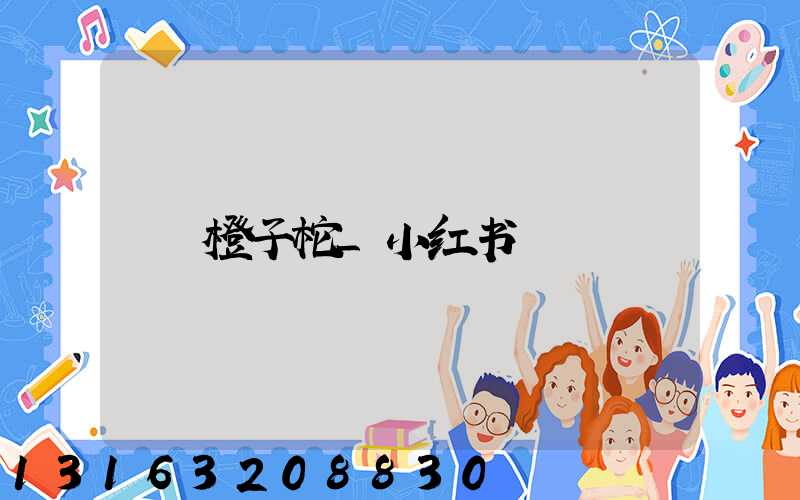 橙子柁_小红书