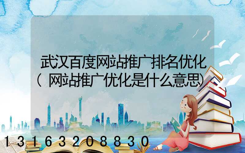 武汉百度网站推广排名优化(网站推广优化是什么意思)