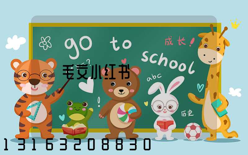 毛文小红书