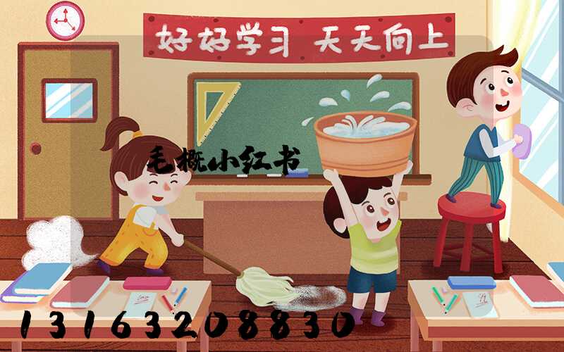 毛概小红书