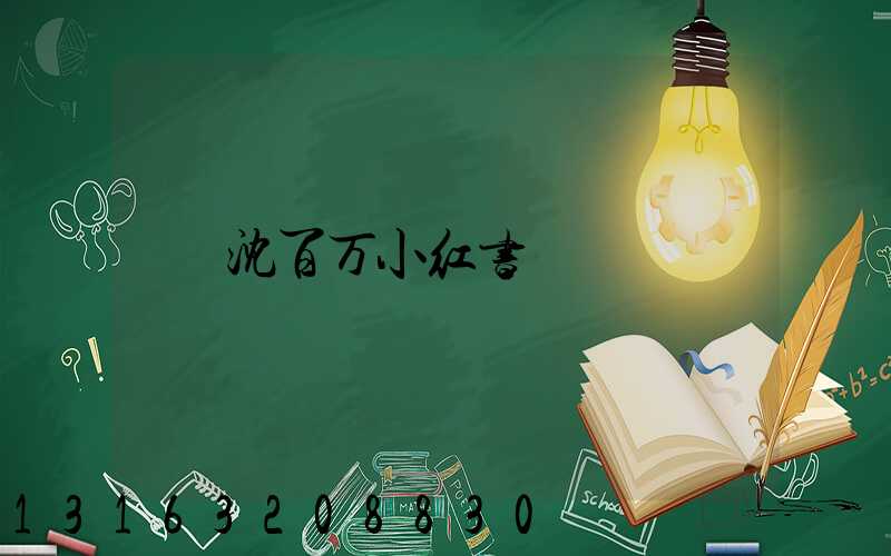 沈百万小红书