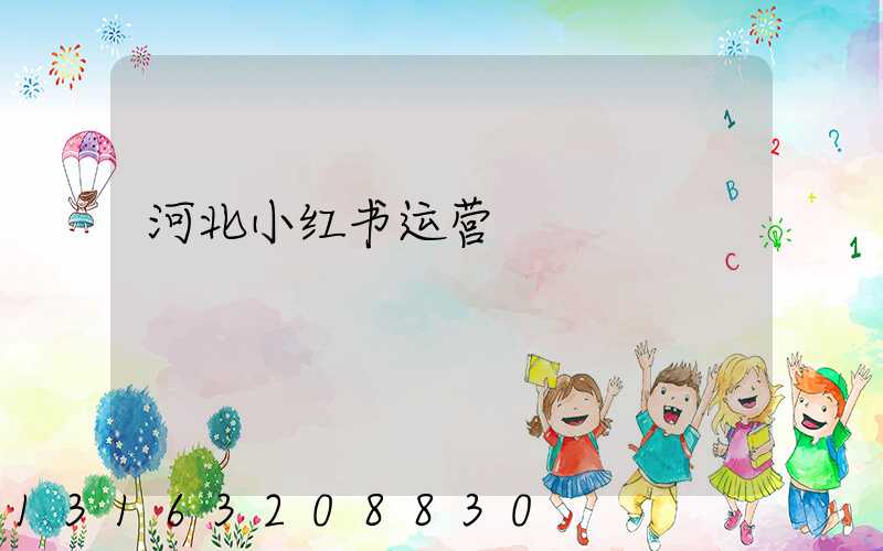 河北小红书运营